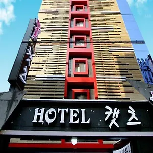 Cats Hotel